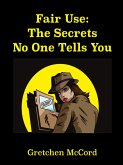 Fair Use: The Secrets No One Tells You (eBook, ePUB)