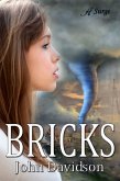Bricks (eBook, ePUB) Bricks (eBook, ePUB)