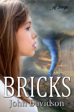 Bricks (eBook, ePUB) - Davidson, John