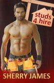 Studs 4 Hire Boxed Set (eBook, ePUB)