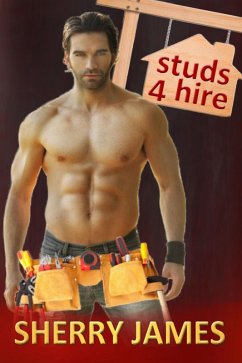 Cover Studs 4 Hire Boxed Set (eBook, ePUB)