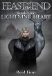 Feast of the End, Lightning Heart... - Bild 1
