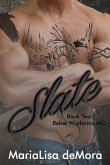 Slate (eBook, ePUB)