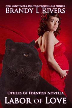 Cover Labor of Love (eBook, ePUB)