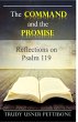 Command and the Promise (eBook, ePUB) - Bild 1