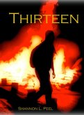 Thirteen (eBook, ePUB)