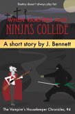When Vampires and Ninjas Collide (eBook, ePUB)