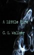 Little Fire (eBook, ePUB) - Bild 1