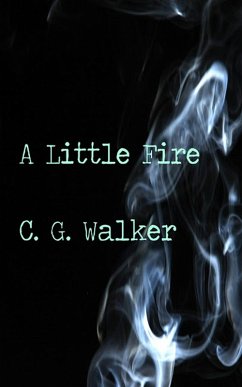 Cover Little Fire (eBook, ePUB)