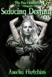 Seducing Destiny (eBook, ePUB) - Bild 1