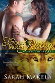 Cold Moon Rising (Cry Wolf, #2) (eBook, ePUB)