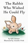 Rabbit Who Wished He Could Fly (eBook, ePUB)
