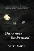 Darkness Embraced (eBook, ePUB)