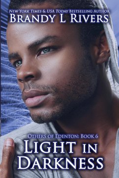Cover Light in Darkness (eBook, ePUB)