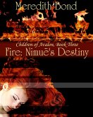 Fire: Nimue's Destiny (eBook, ePUB)