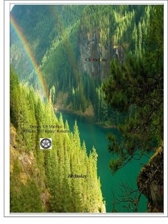 Chameleon (eBook, ePUB) - Stokes, Jr