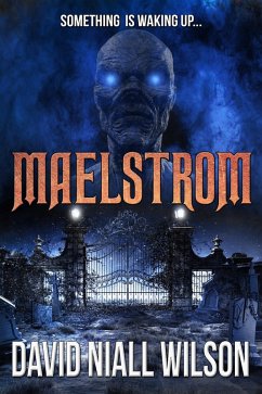 Maelstrom (eBook, ePUB) - Wilson, David Niall