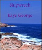 Shipwreck (eBook, ePUB)