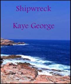 Shipwreck (eBook, ePUB) - George, Kaye