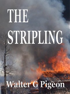 Cover Stripling (eBook, ePUB)