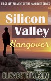 Silicon Valley Hangover (eBook, ePUB)