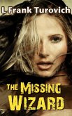 Missing Wizard (eBook, ePUB)