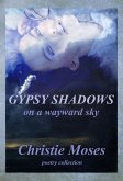 Gypsy Shadows On A Wayward Sky (eBook, ePUB)
