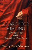 Search for Meaning. Connecting with Buddhist Teachers. (eBook, ePUB)