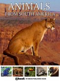 Animals from South America (eBook, ePUB)