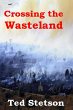 Crossing the Wasteland (eBook, ePUB) - Bild 1