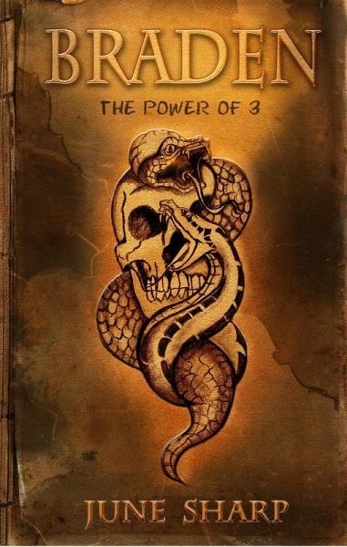Braden ' Power of 3' (eBook, ePUB)