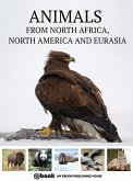Animals from North Africa, North America and Eurasia (eBook, ePUB)
