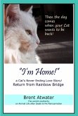 I'm Home! a Cat's Never Ending Love Story, Cat reincarnation stories- Animal Life after Death, Pet Heaven, Pet loss & Reincarnation (eBook, ePUB)