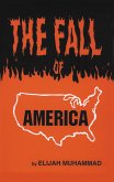 Fall of America (eBook, ePUB)