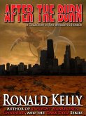 After the Burn (eBook, ePUB)