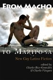 From Macho to Mariposa: New Gay Latino Fiction (eBook, ePUB)
