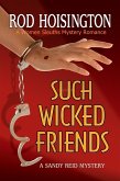 Such Wicked Friends (Sandy Reid Mystery Series #3) (eBook, ePUB)