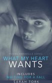 What My Heart Wants (Y.A Series Book 3) (eBook, ePUB)