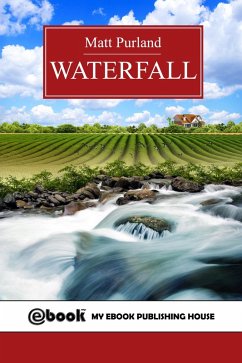Cover Waterfall (eBook, ePUB)