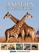 Animals from Africa (eBook, ePUB) - Bild 1