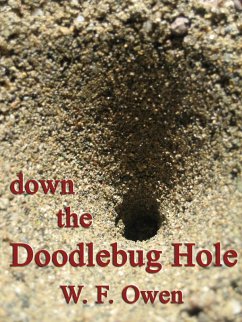 Down the Doodlebug Hole (eBook, ePUB) - Owen, W. F.