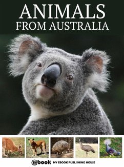 Cover Animals from Australia (eBook, ePUB)