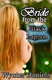 Bride from the Black Lagoon (eBook, ePUB)