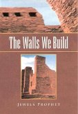Walls We Build (eBook, ePUB)