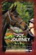 Joy of the Journey (eBook, ePUB) - Bild 1
