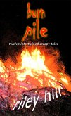 Burn Pile (eBook, ePUB)