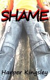 Shame (eBook, ePUB)