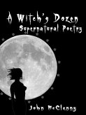 Witch's Dozen (eBook, ePUB)