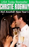 Not Another New Year's (Holiday Duet Book 2) (eBook, ePUB)