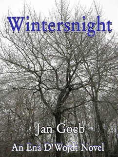 Cover Wintersnight (eBook, ePUB)